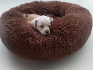 Donut Cuddler Pet Bed