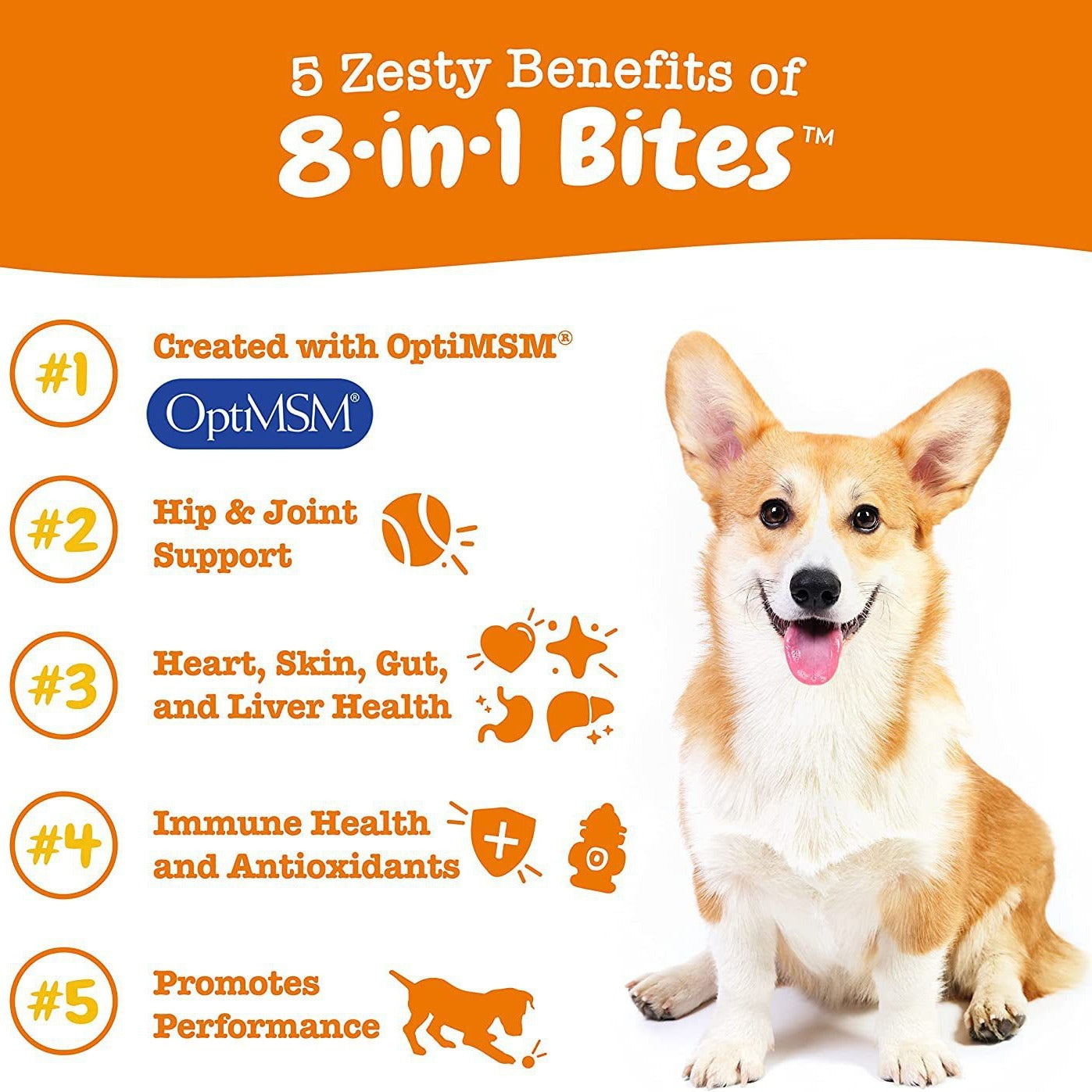 Dog Multivitamin Supplement 300g
