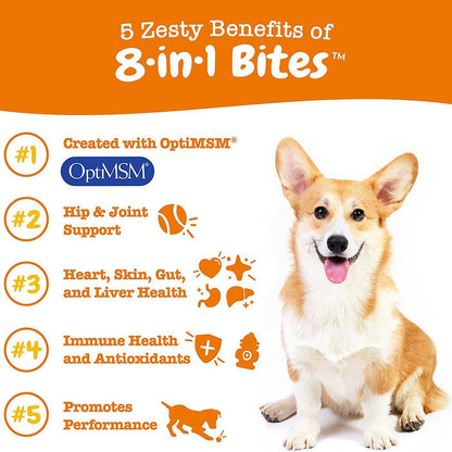 Dog Multivitamin Supplement 300g