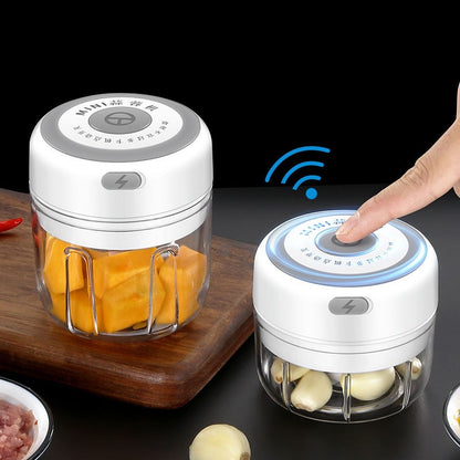 Electric Mini Garlic Chopper USB